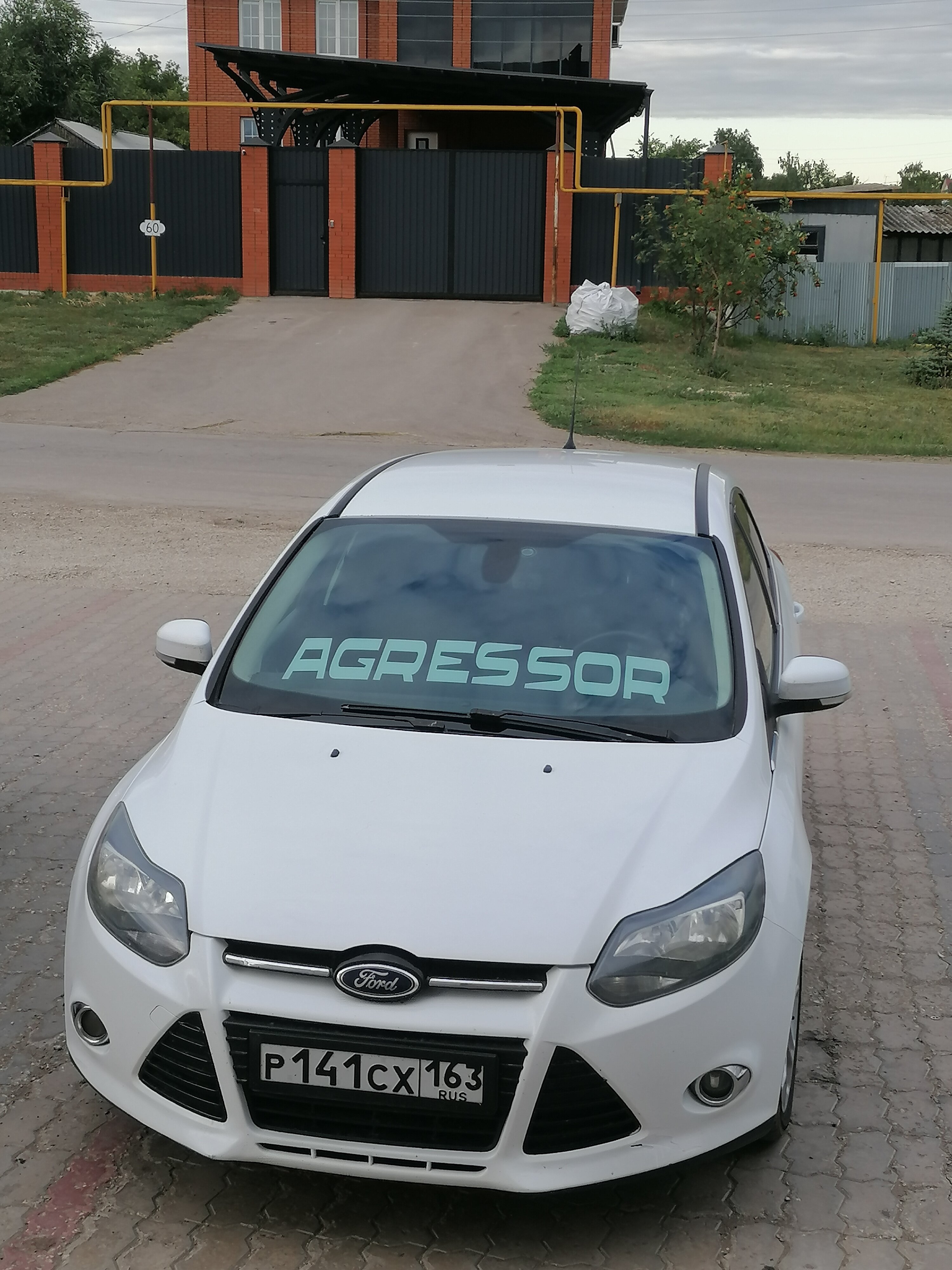 Фото Поляна