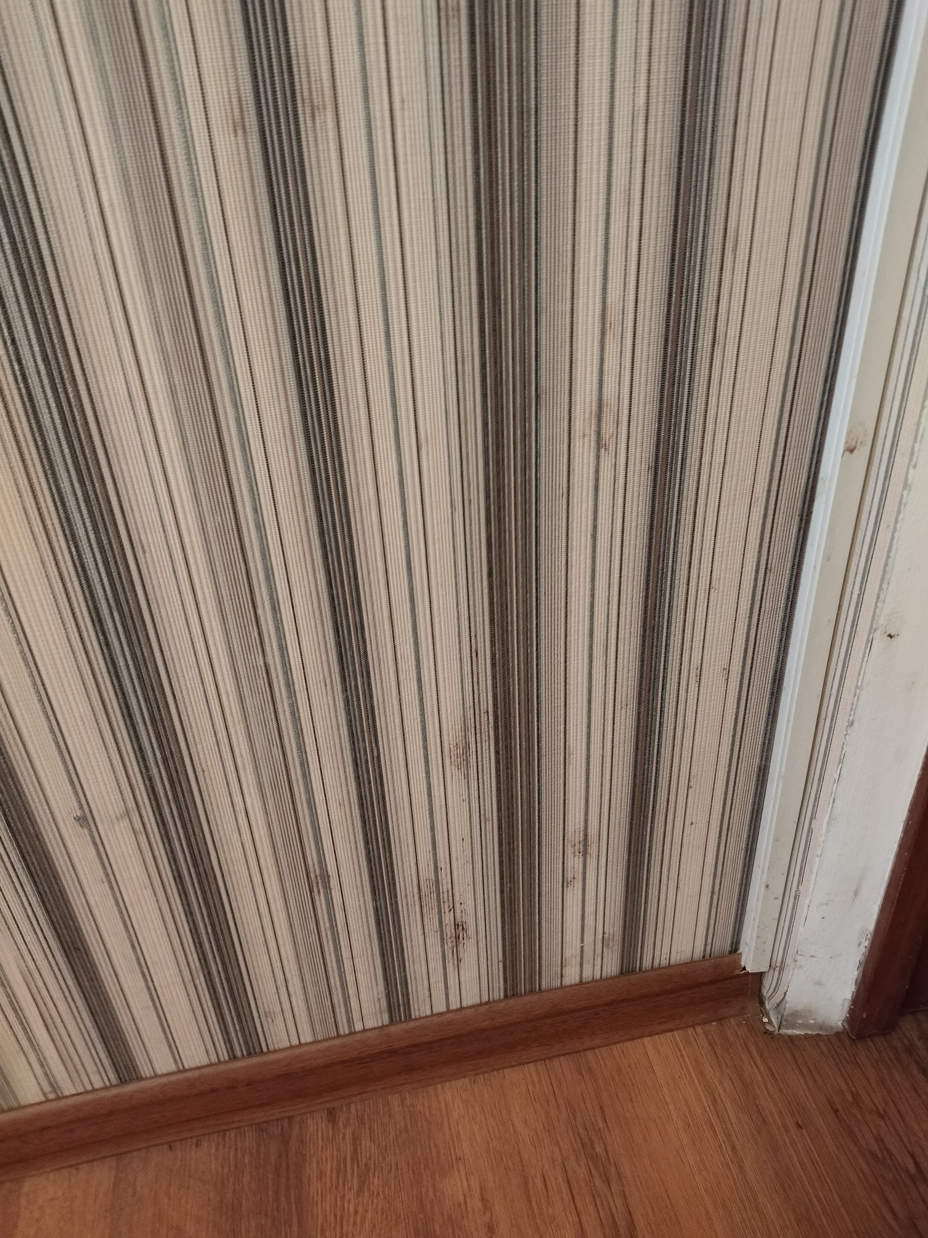 Фото Астана