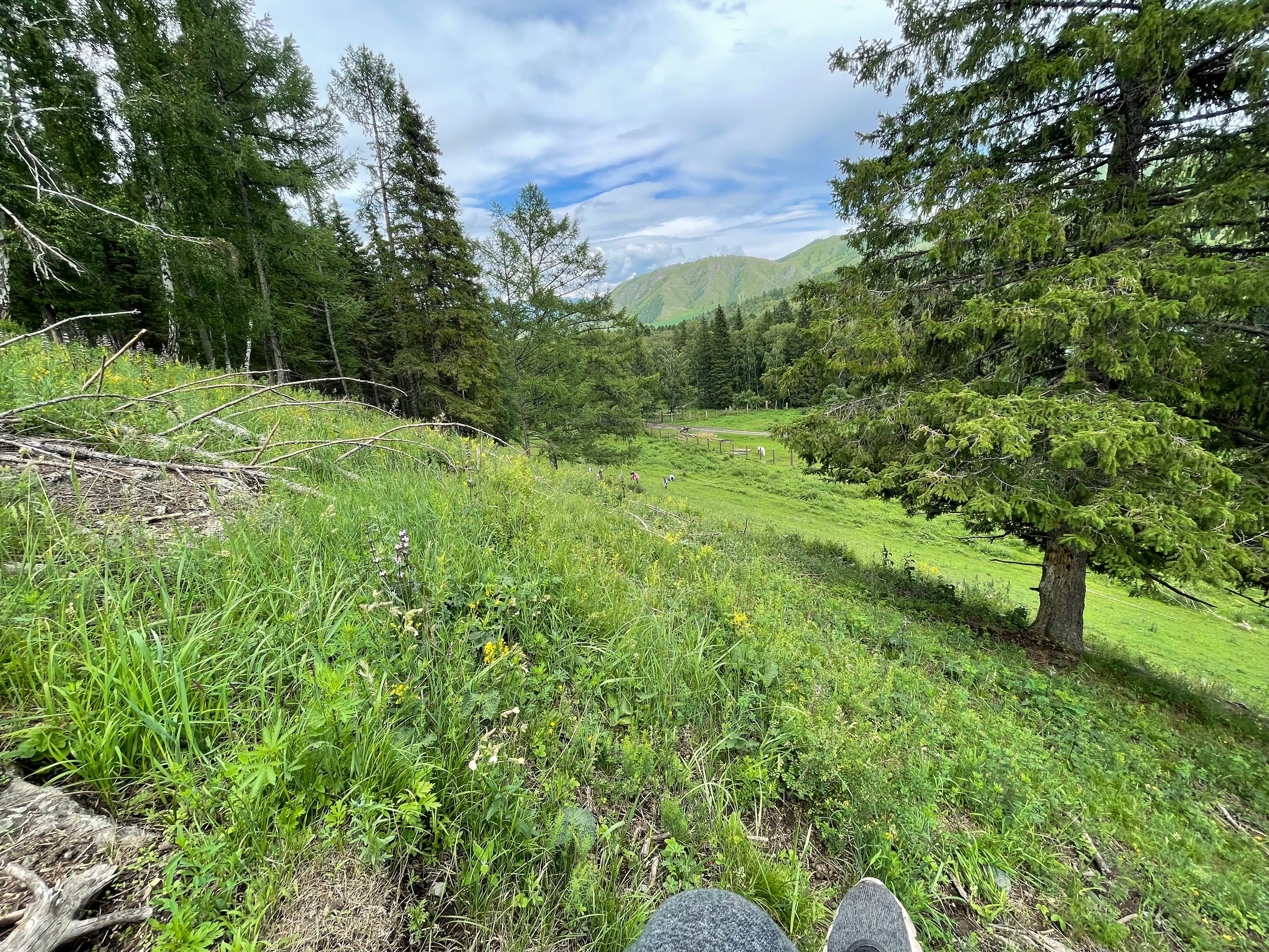 Фото Фазенда