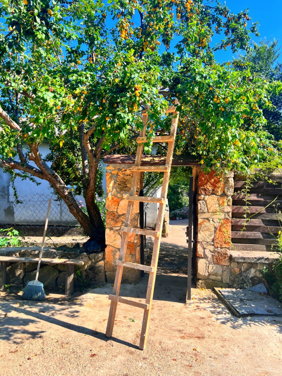 Фото Богатое ущелье