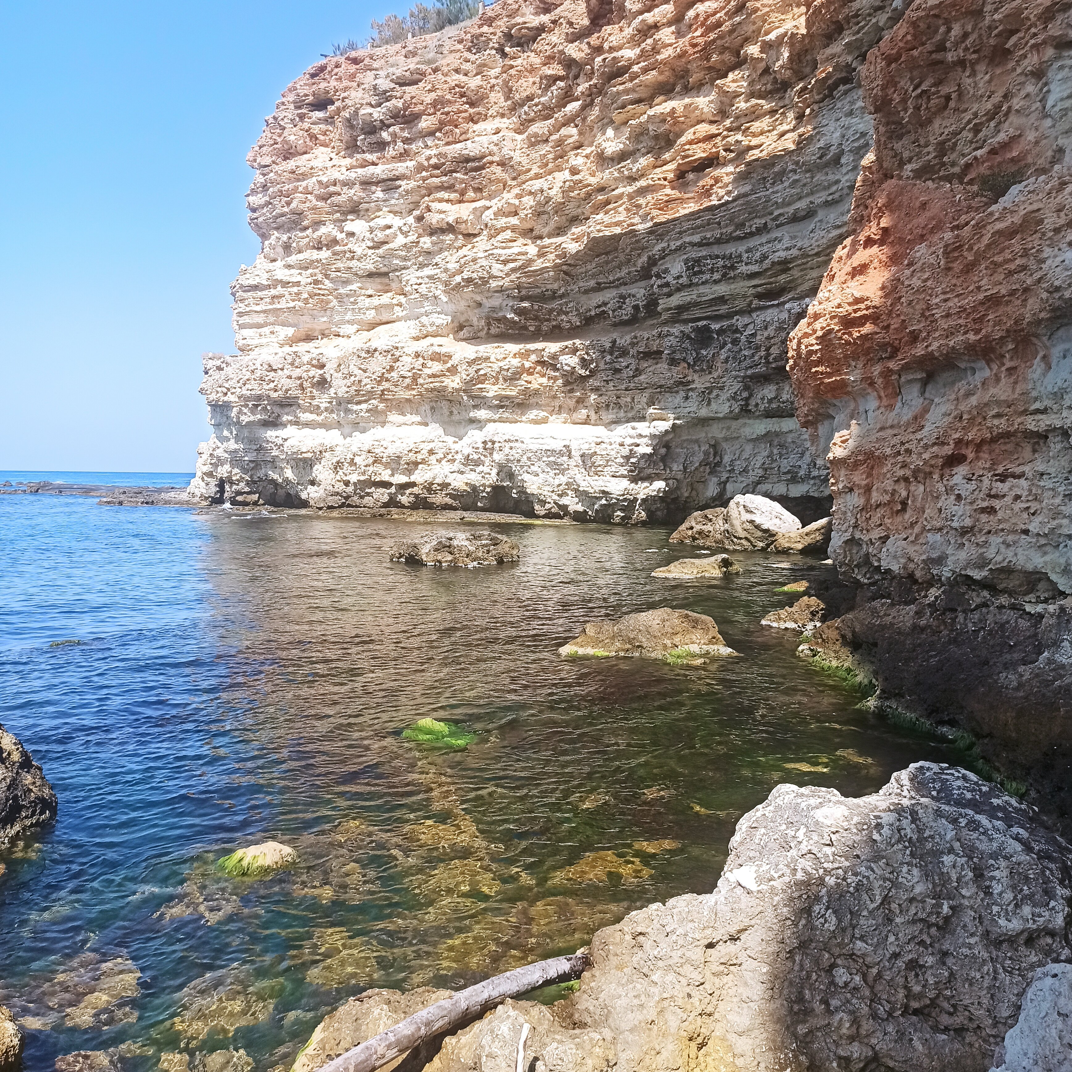 Фото Лето клуб