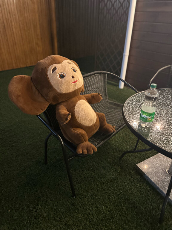 Фото Wood Hotel Topál