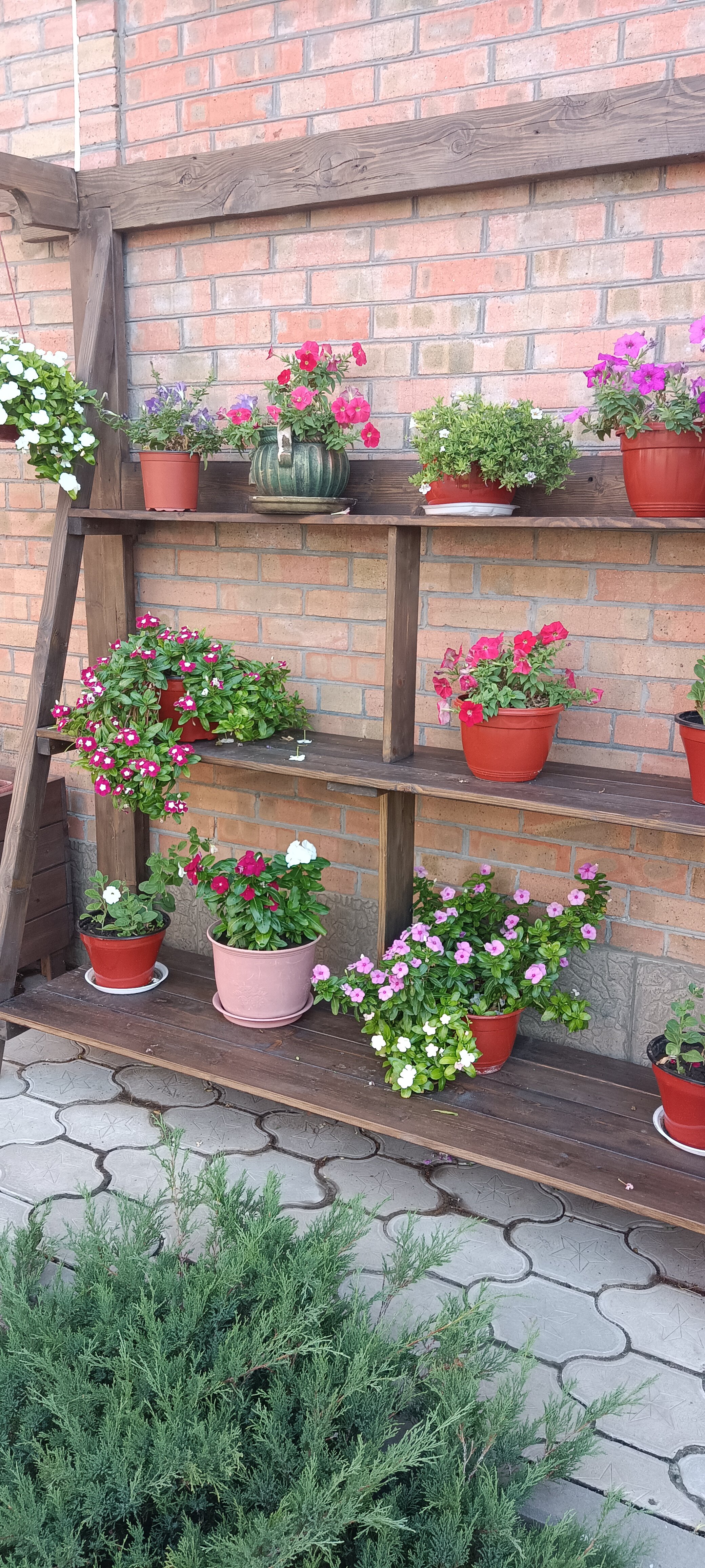 Фото Крыжовник