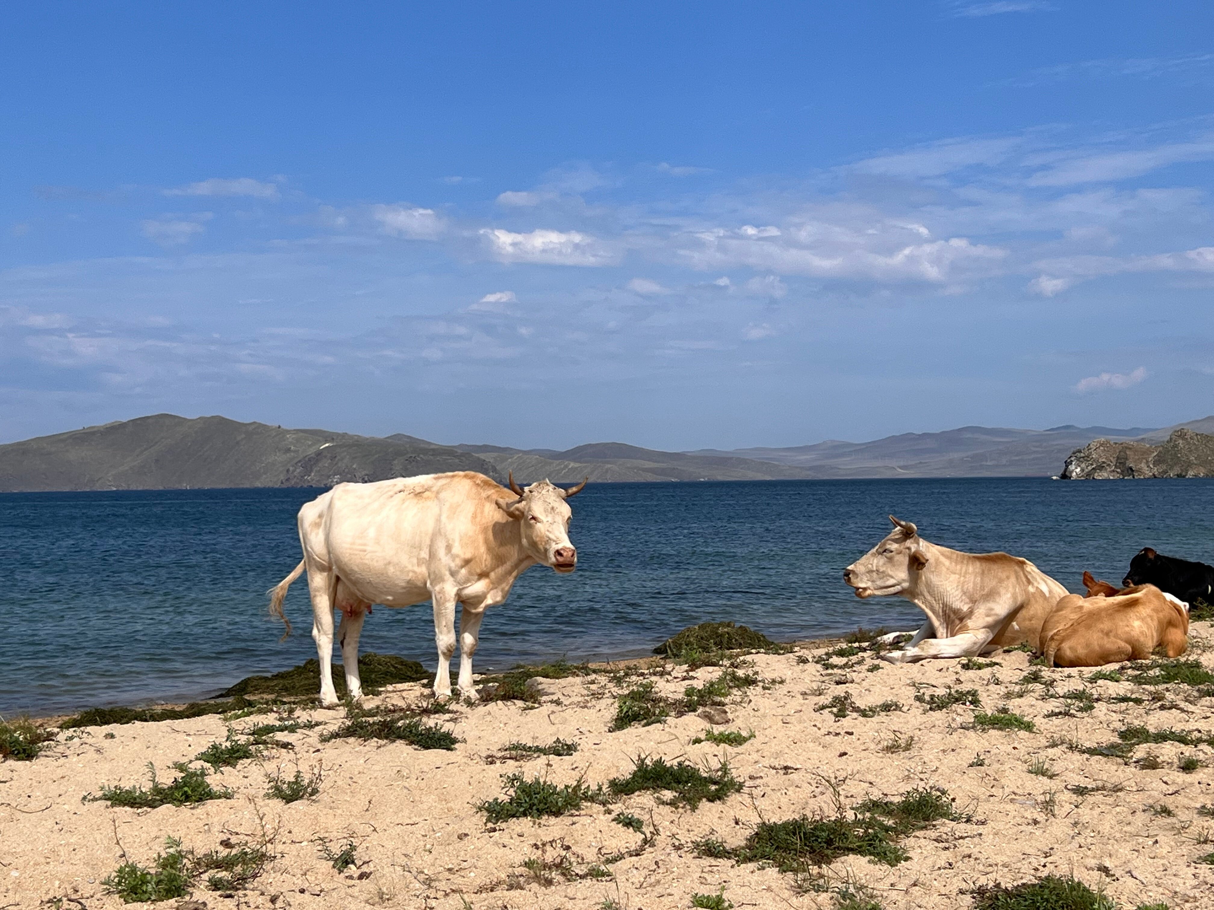 Фото Ветер странствий