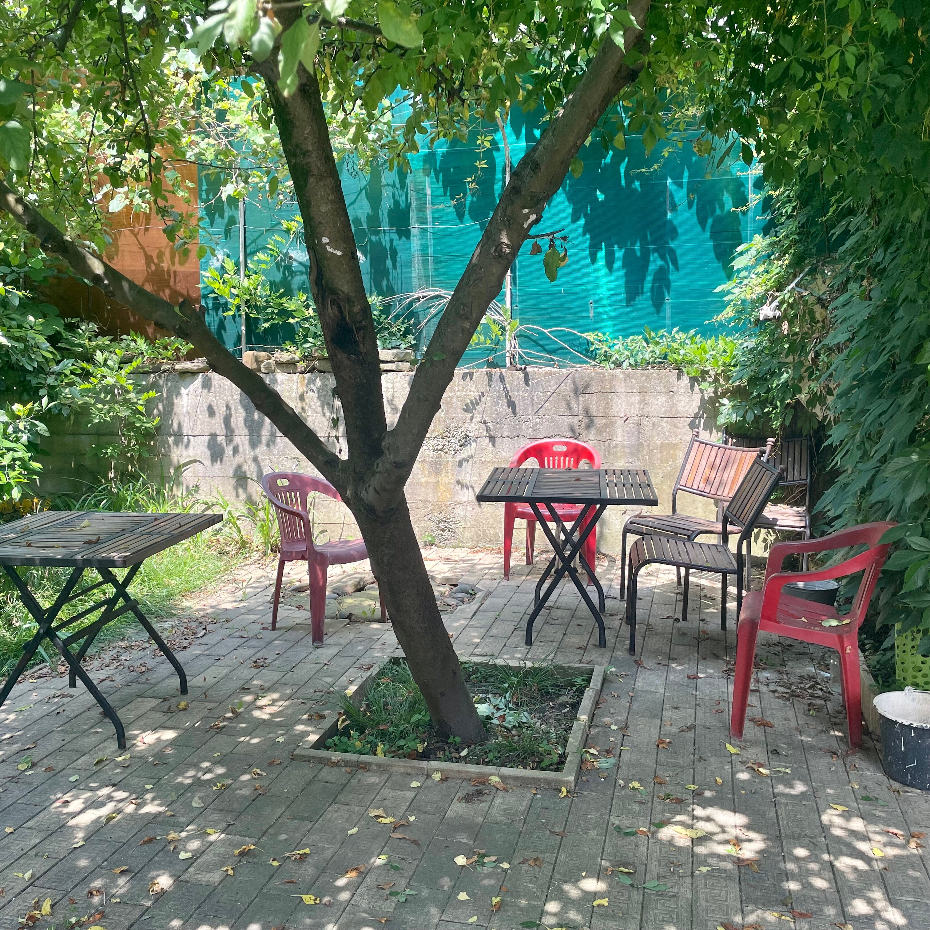 Фото Анна-вояж