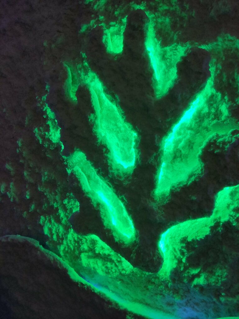 Salt cave СольКа, Republic of Adygea, photo