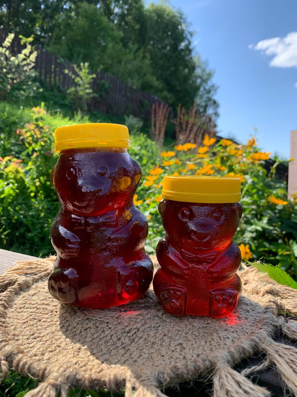 Фото Горная Пчела