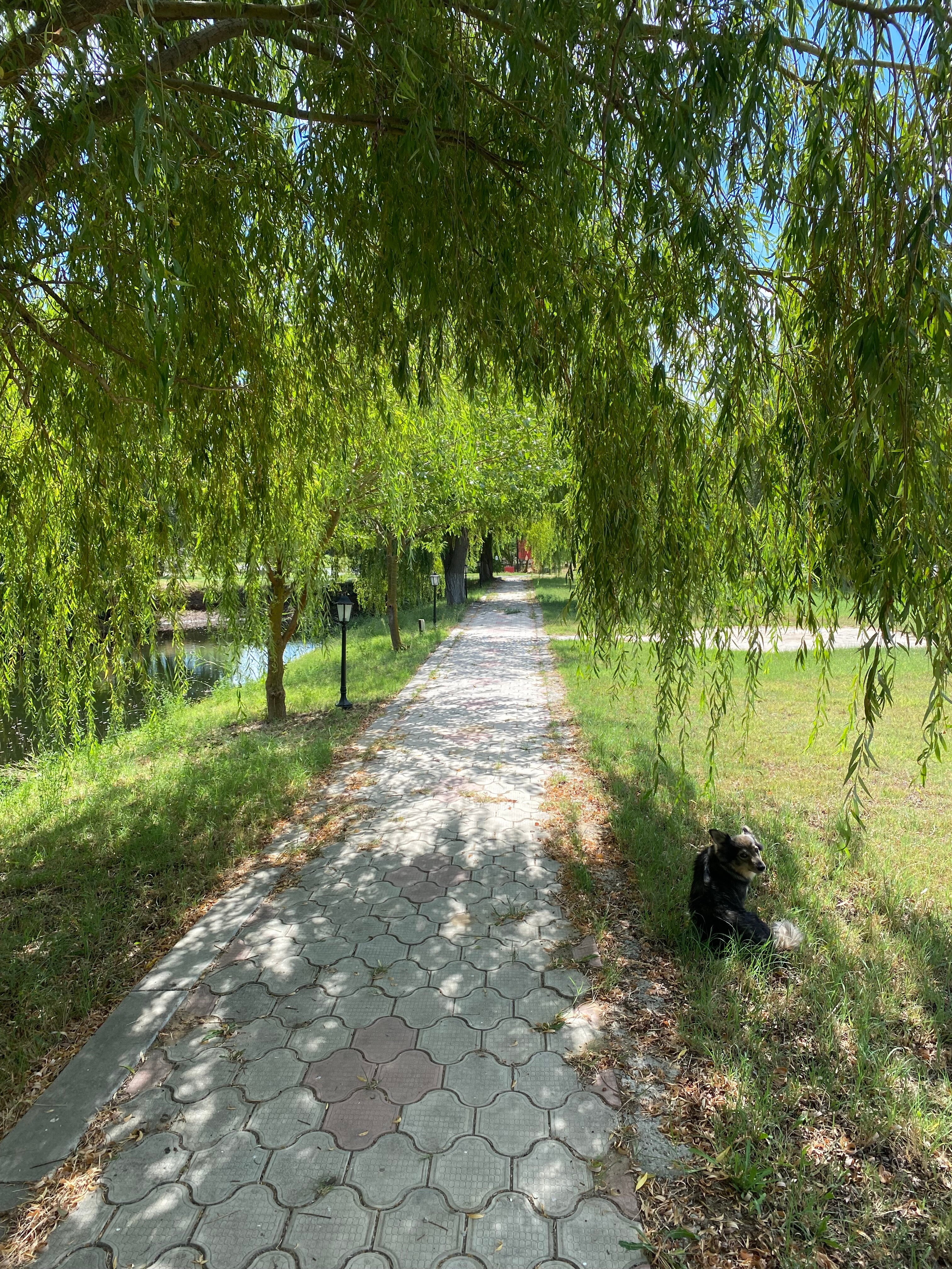 Фото Клёвое место