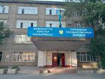 State Revenue Administration (Semey, Pervomay street, 28Б) ، تدقيق الضرائب