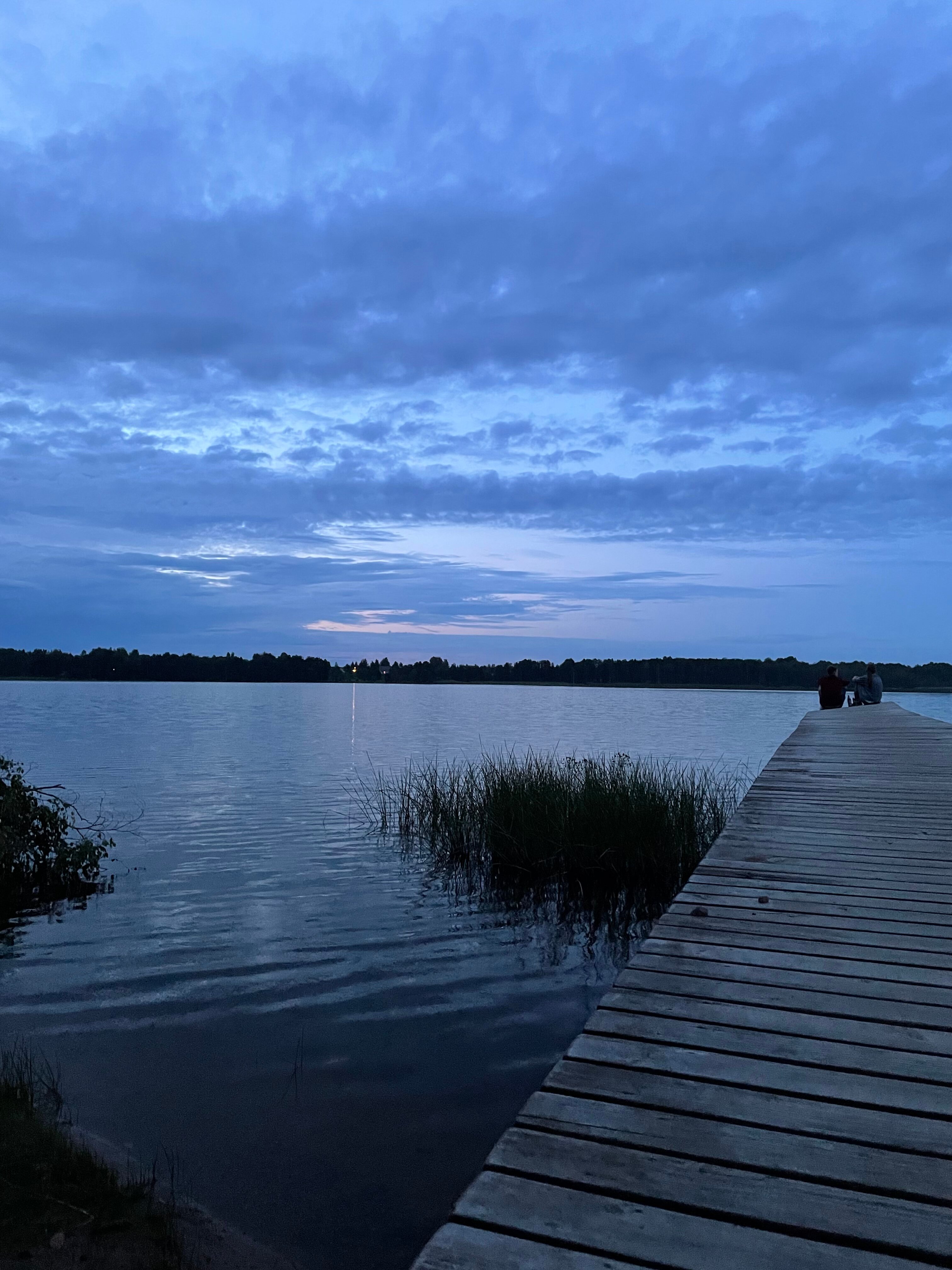 Фото Ёlki в Правдинское озеро