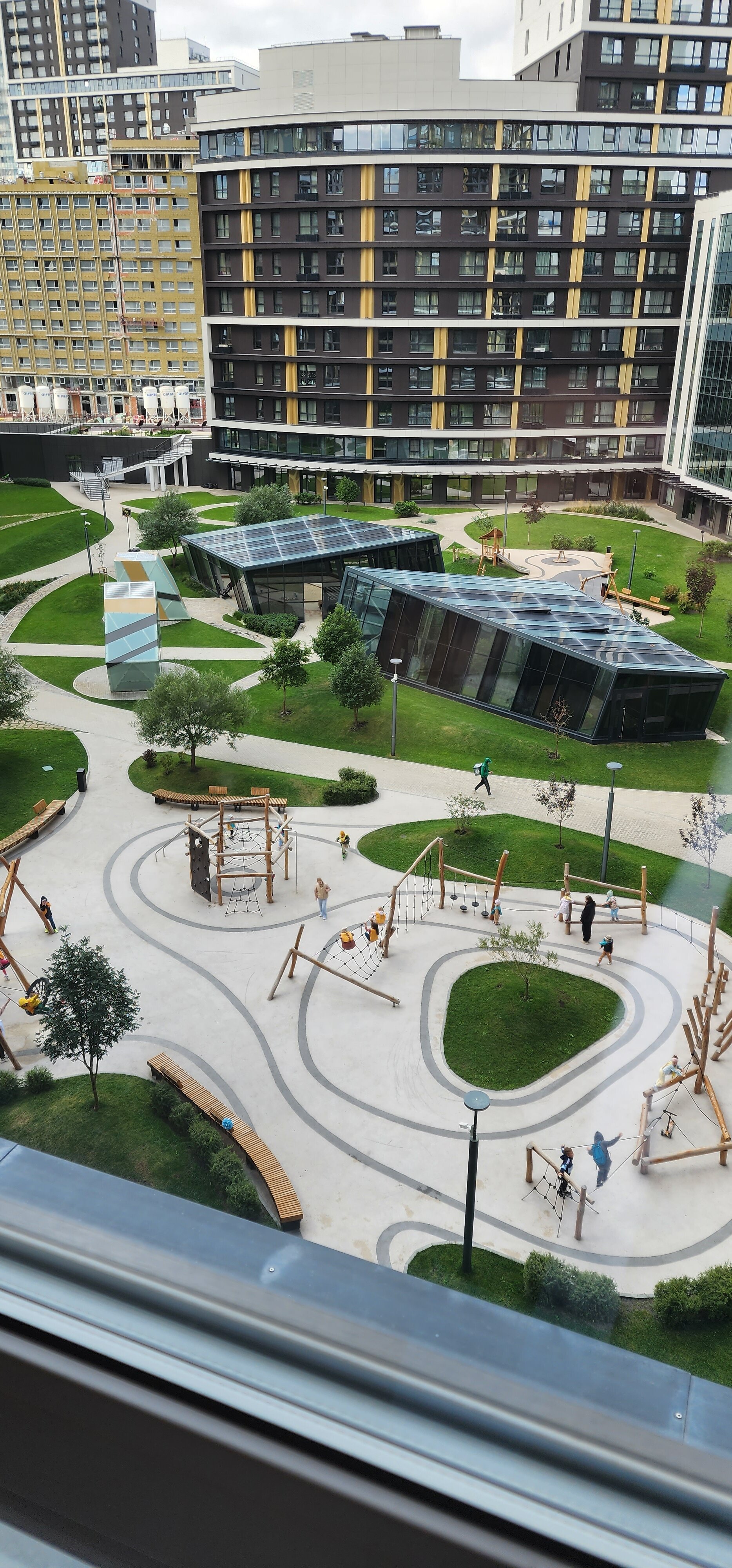 Фото Белый Клевер