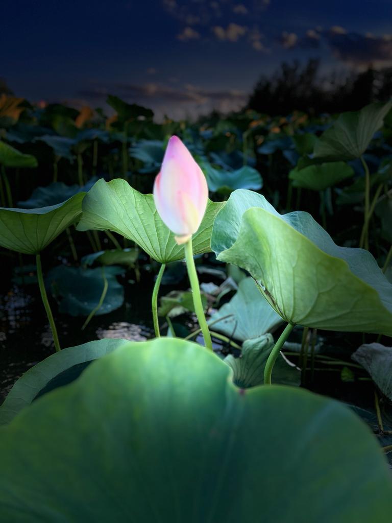 Фото У Олега