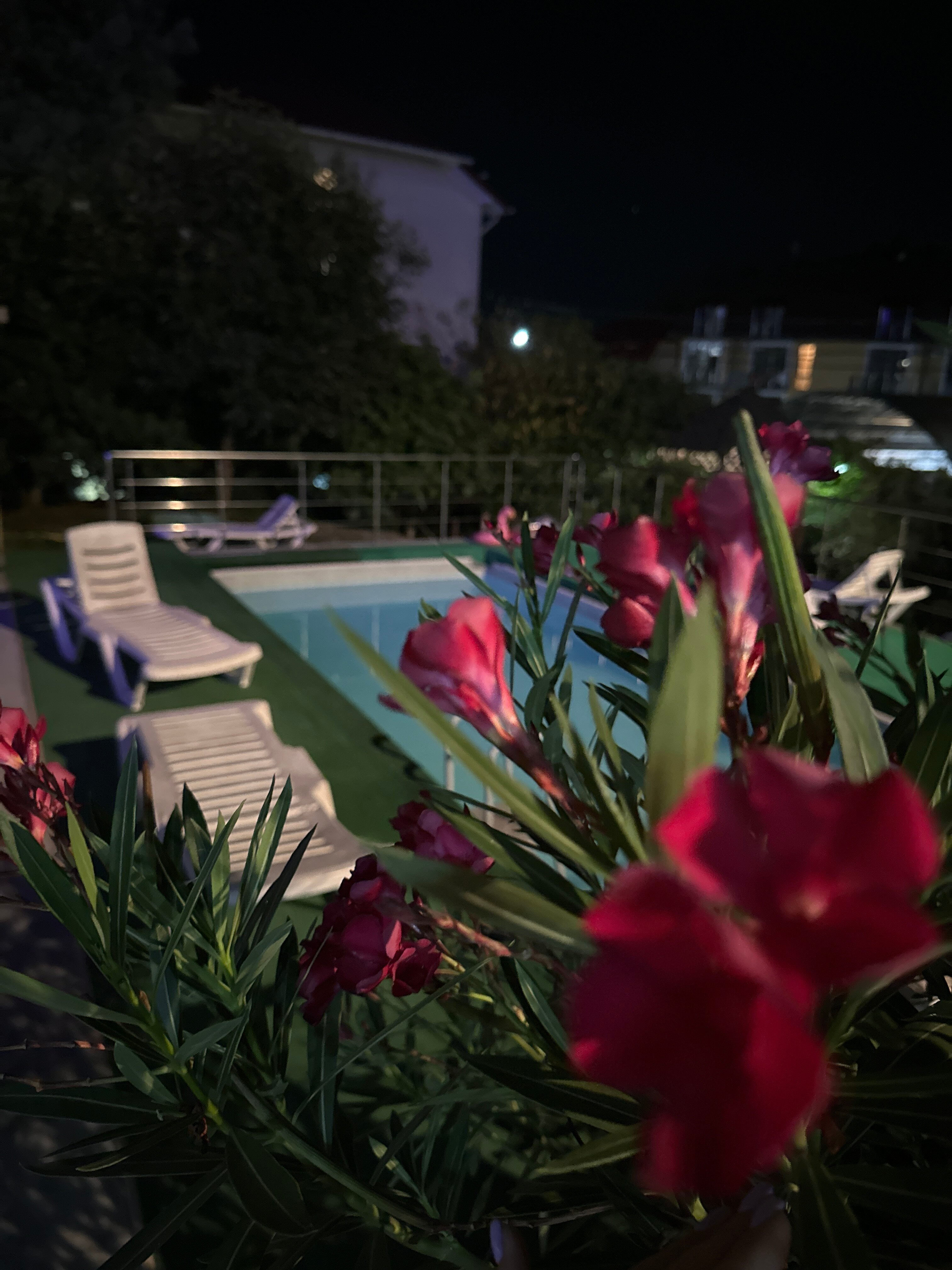 Фото Pearl of GrandLoo