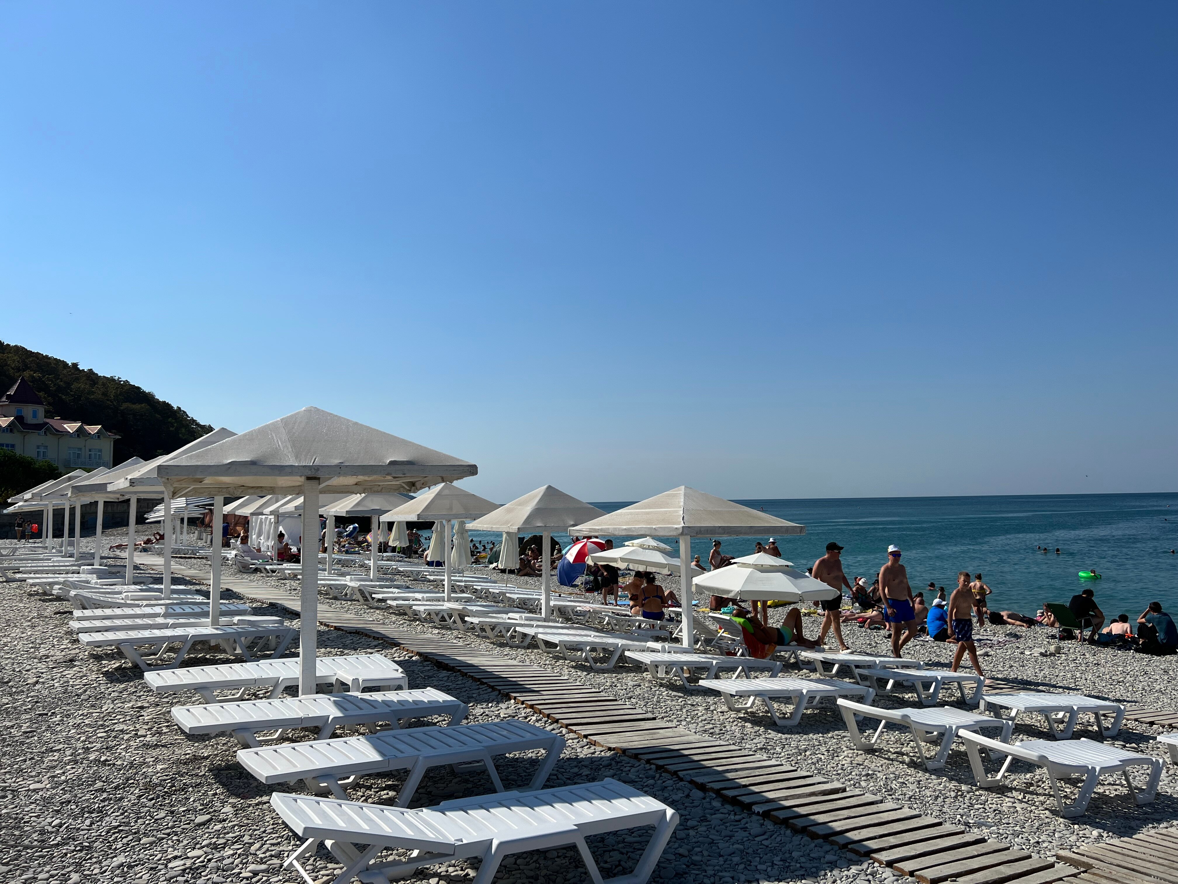 Фото Ежевика