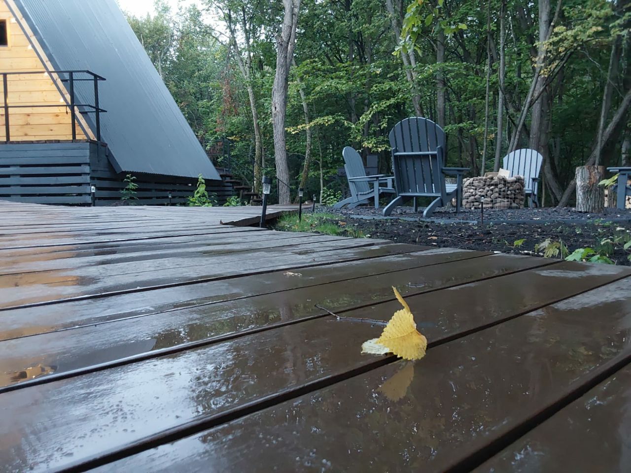 Фото Загорские дубки