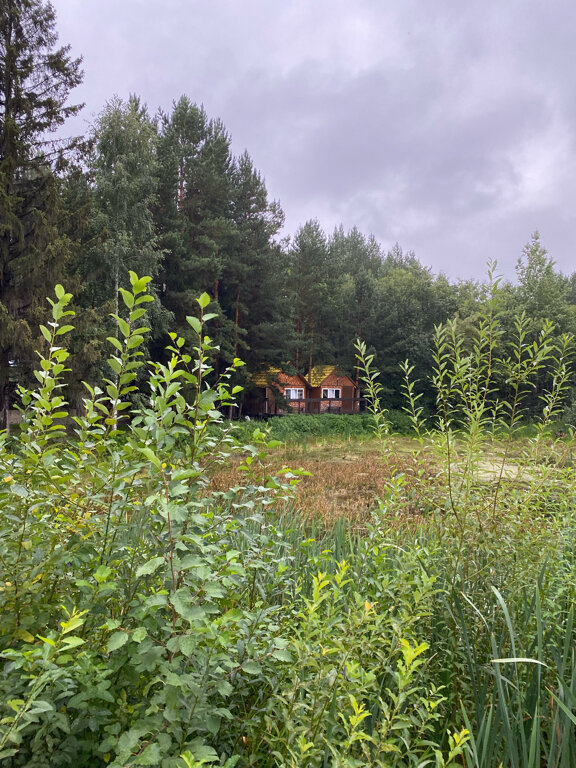 Фото У Горы Волчиха