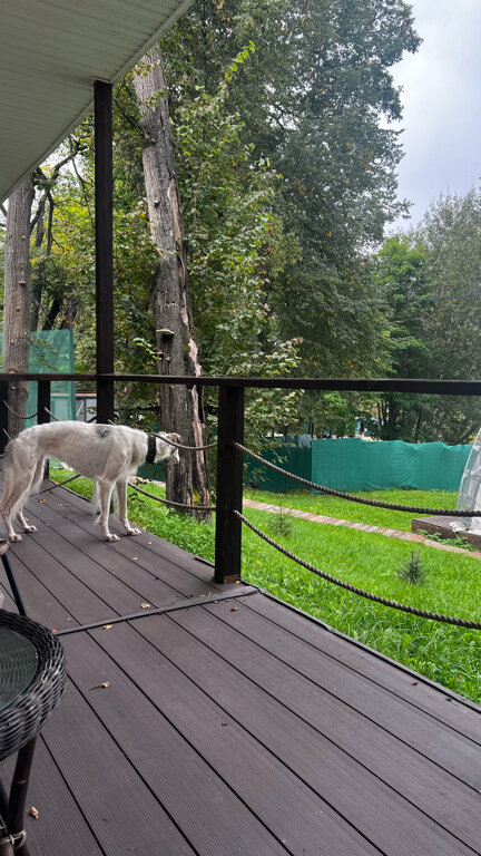 Фото Ливадия