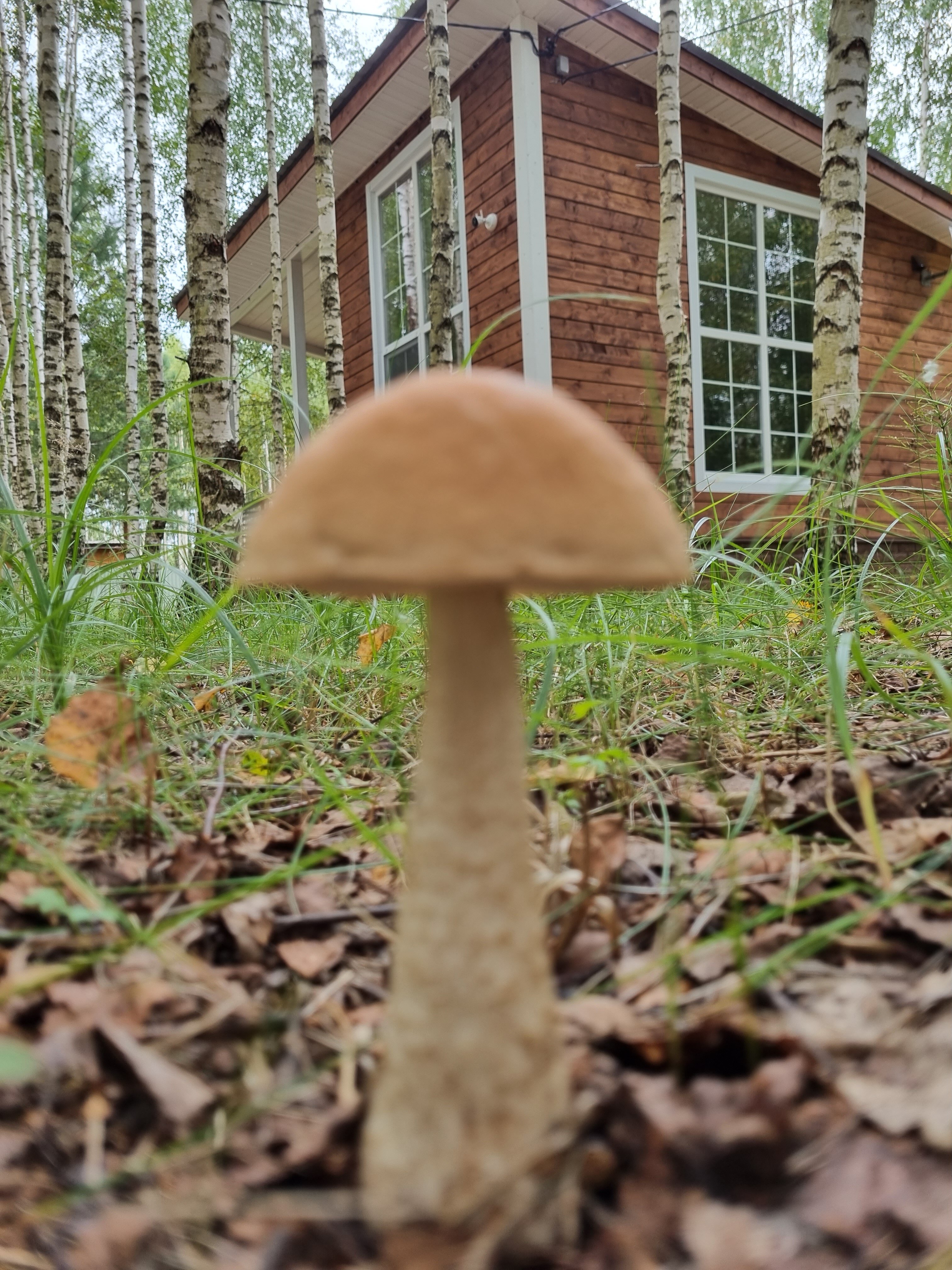 Фото Дача на Рыбинском Море