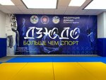 Иппон (102-y mikrorayon, ulitsa Rinchino, 2Б/1), club deportivo, sección