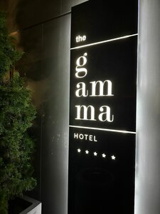 Гостиница The Gamma