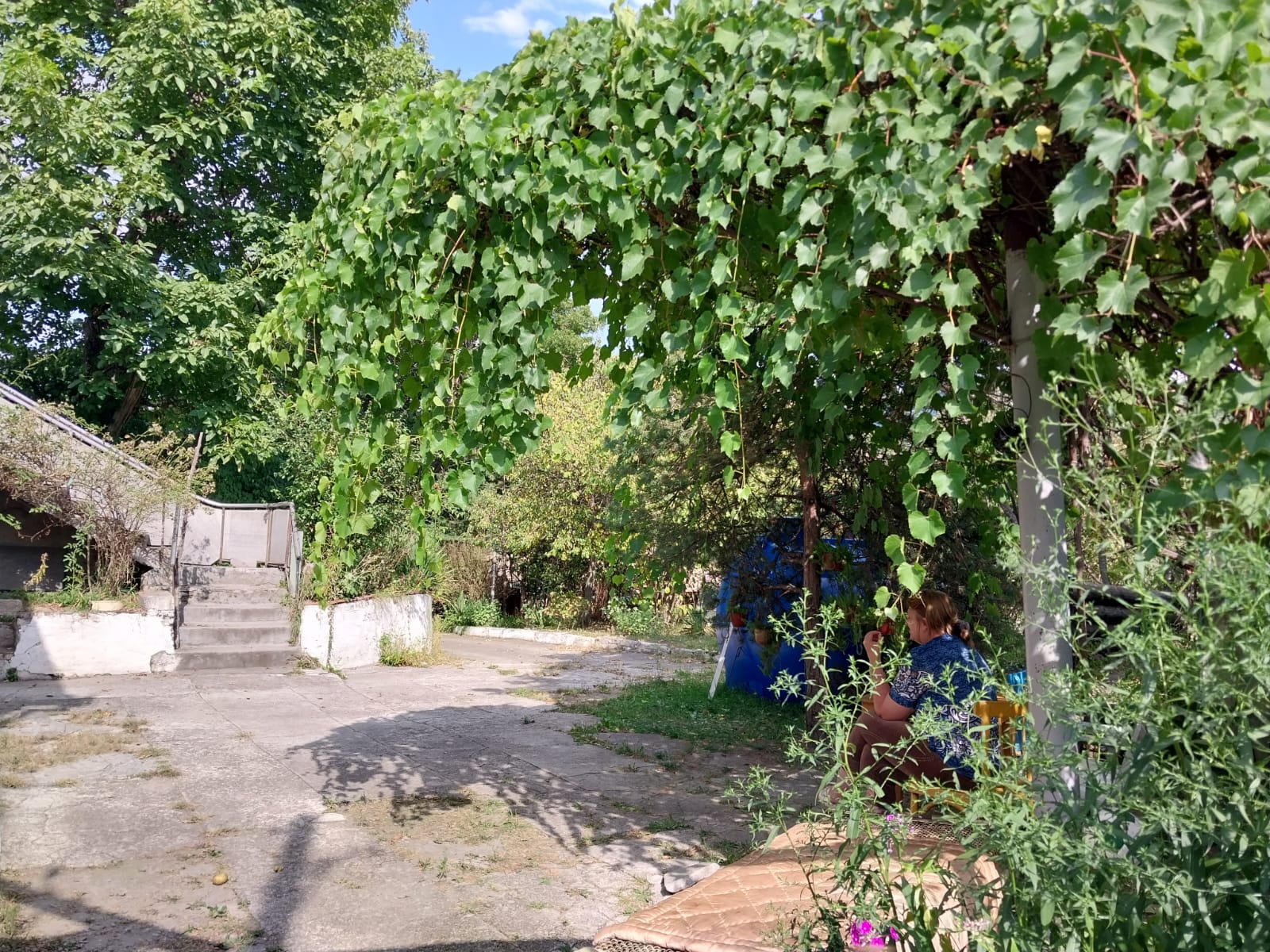 Фото Дом у реки