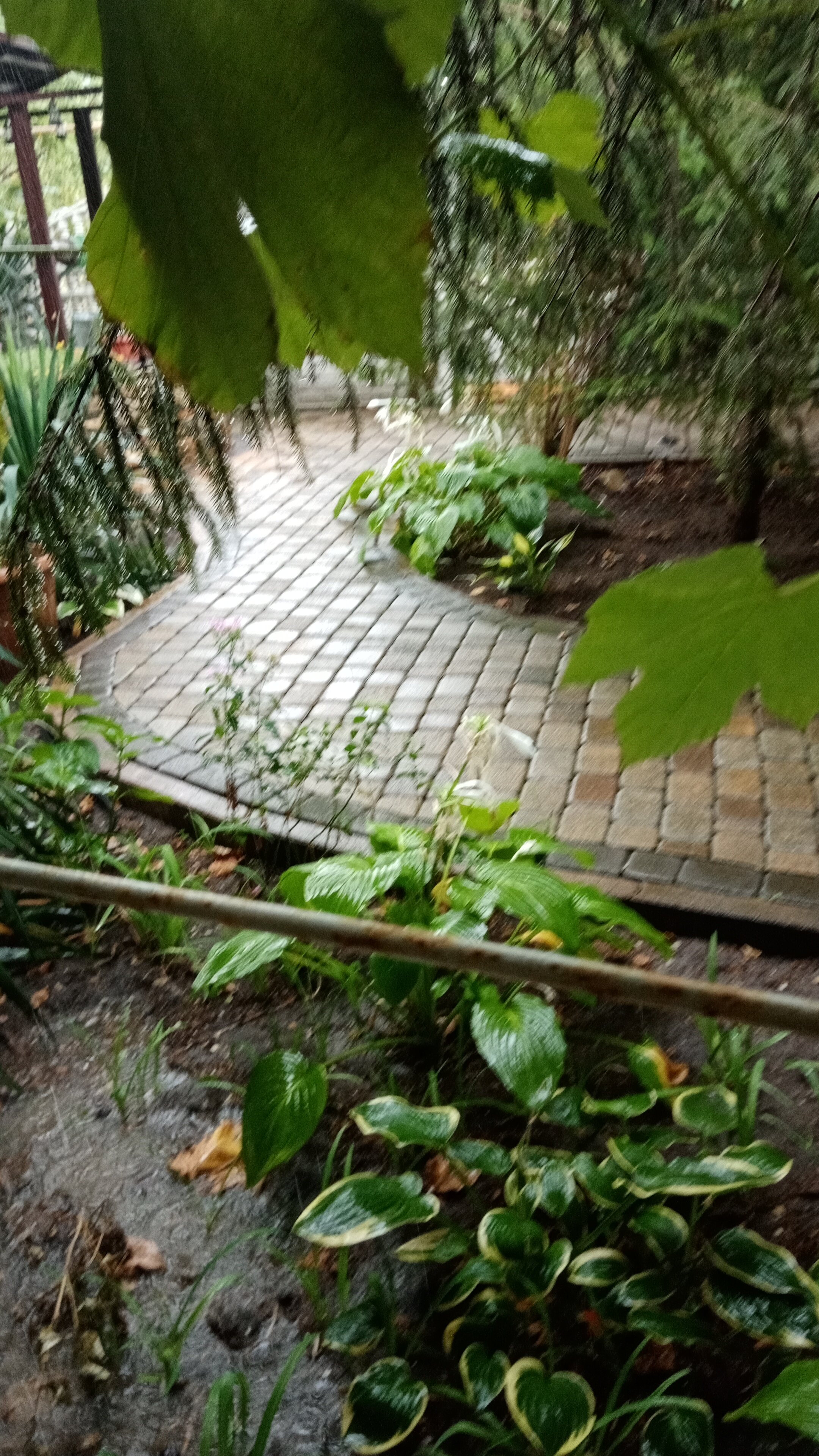 Фото Парфенон