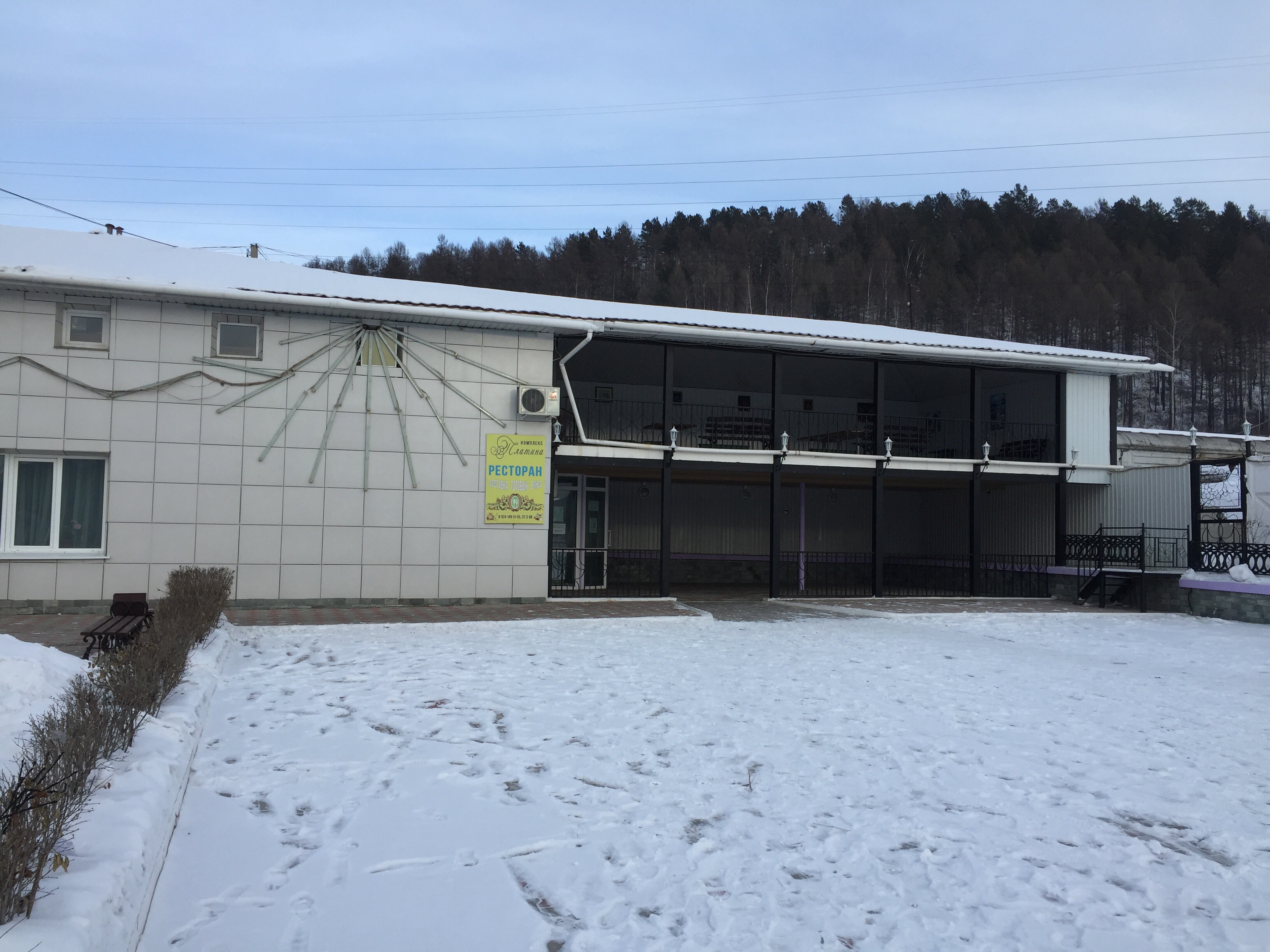 Фото Платина