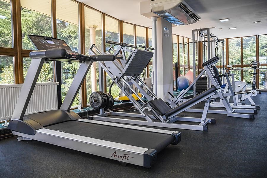 Фото Alean Family Sputnik