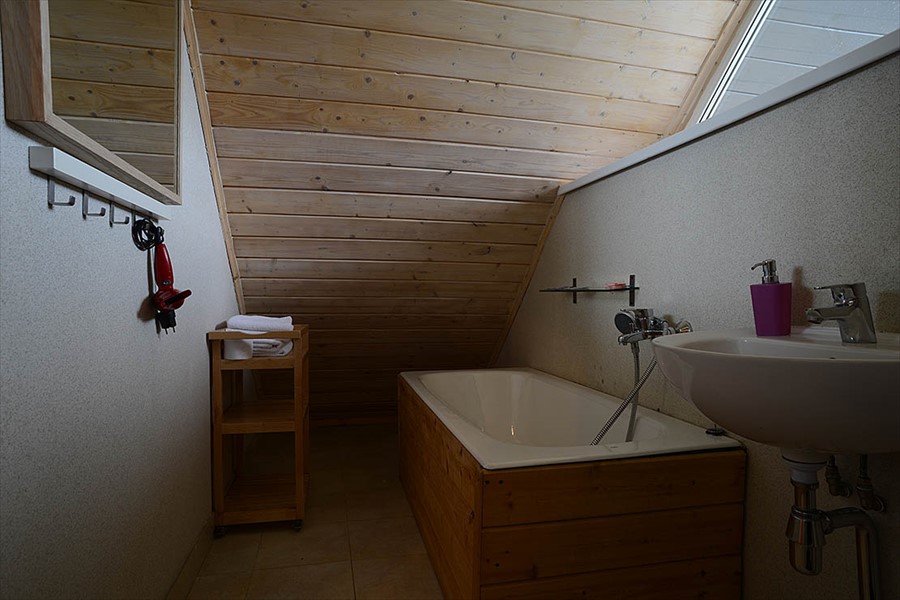 Фото Никола-Ленивец