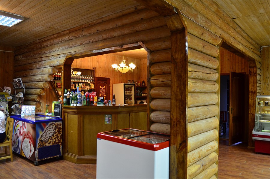 Фото Зеленая роща