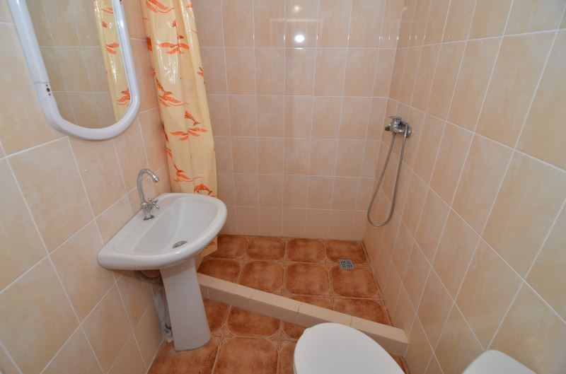 Фото Ласточка