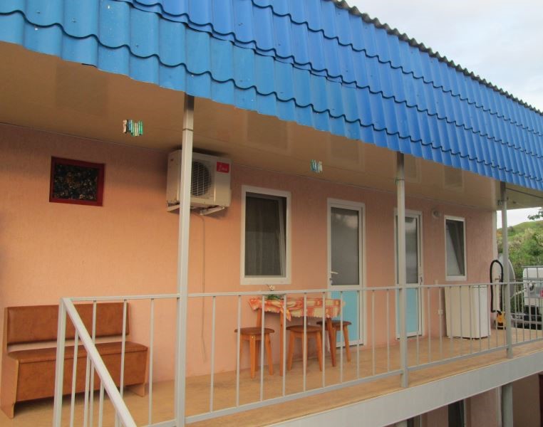 Фото Ласточка