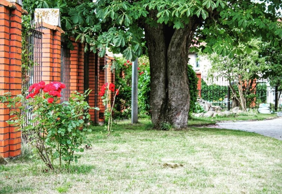 Фото Вальде Парк