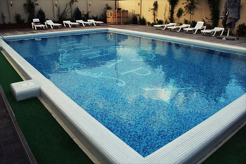 Фото Монарх