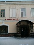 Camellia (Teatralnaya Street, 1), cafetería