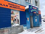 Zoomagazin Pelikan (Kirova Avenue, 62), pet shop