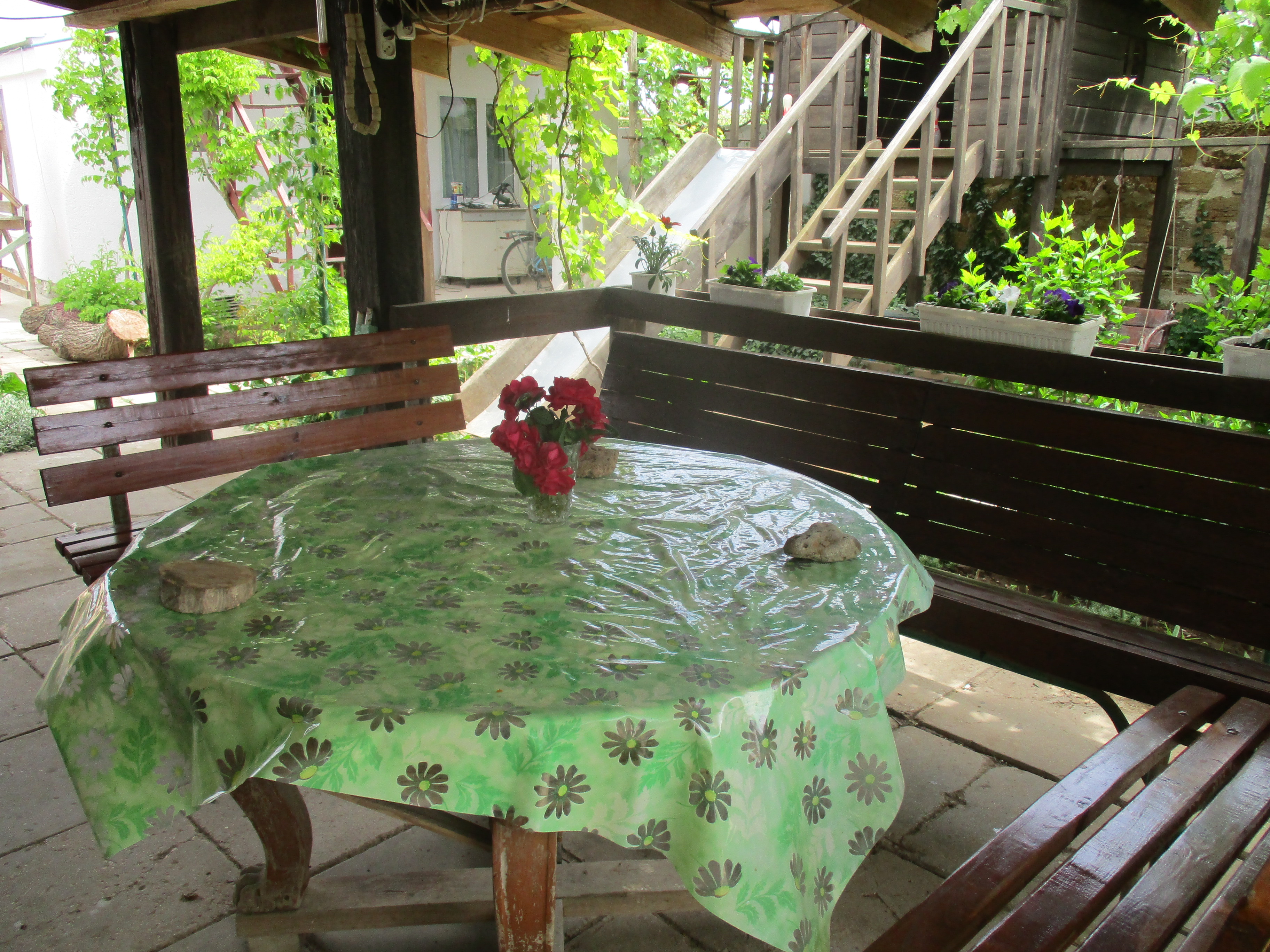 Фото СимСим