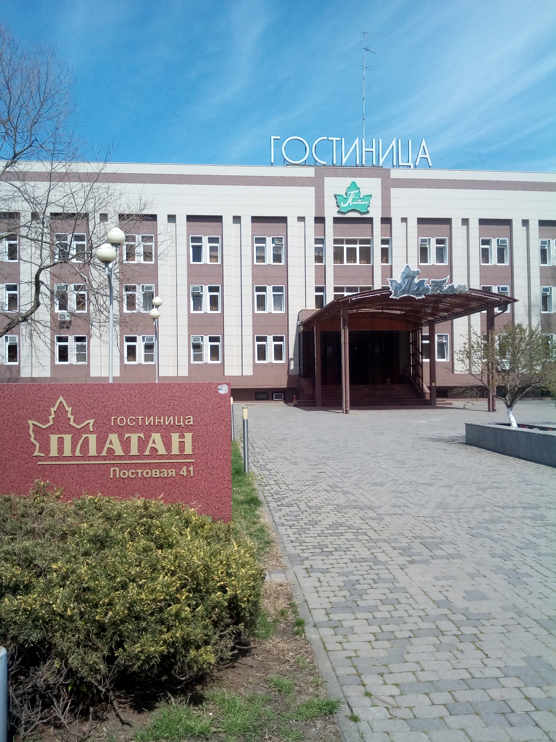 Фото Платан