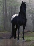 Kupava (18th Drive, 8), horse riding