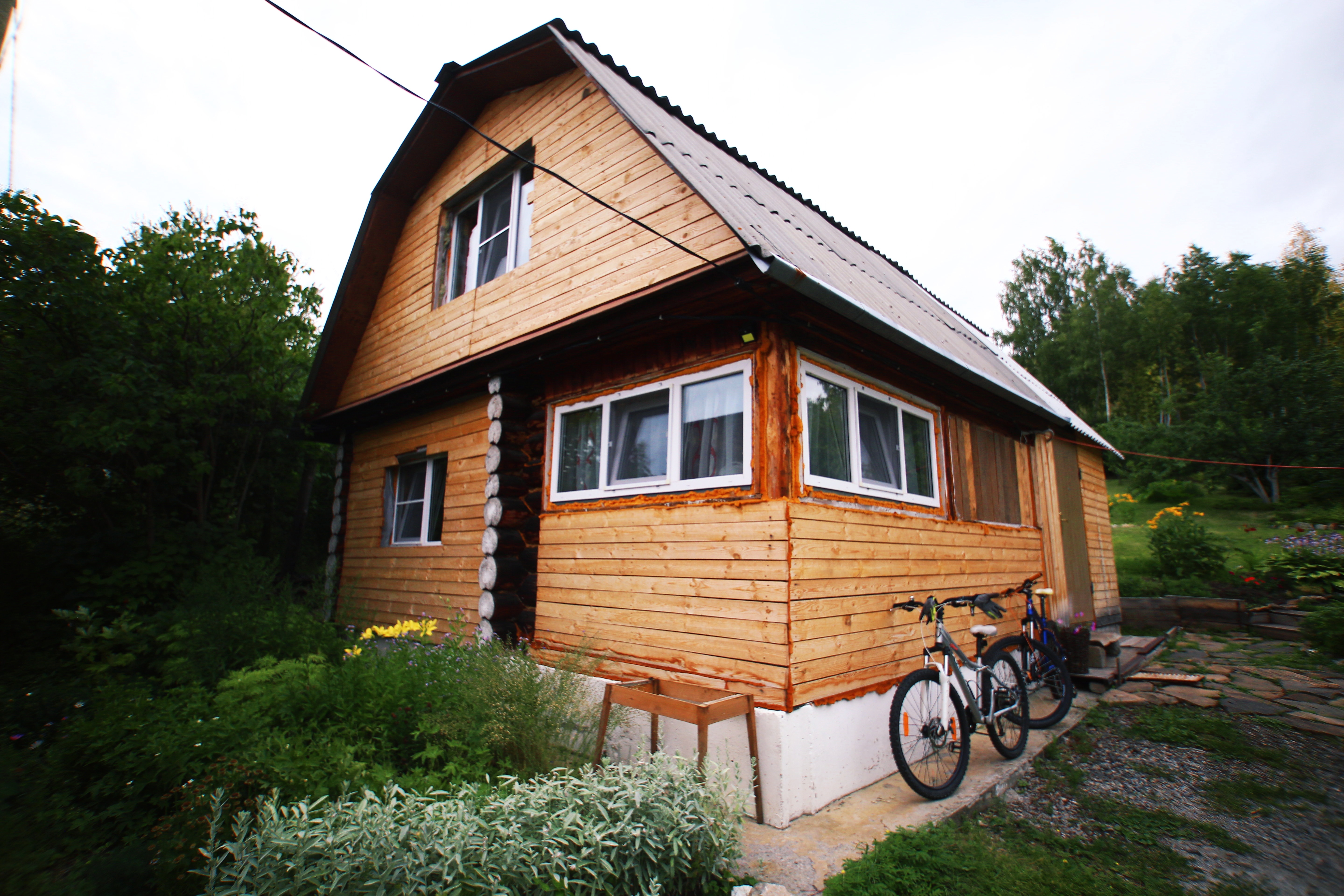 Фото Дикая Вишня