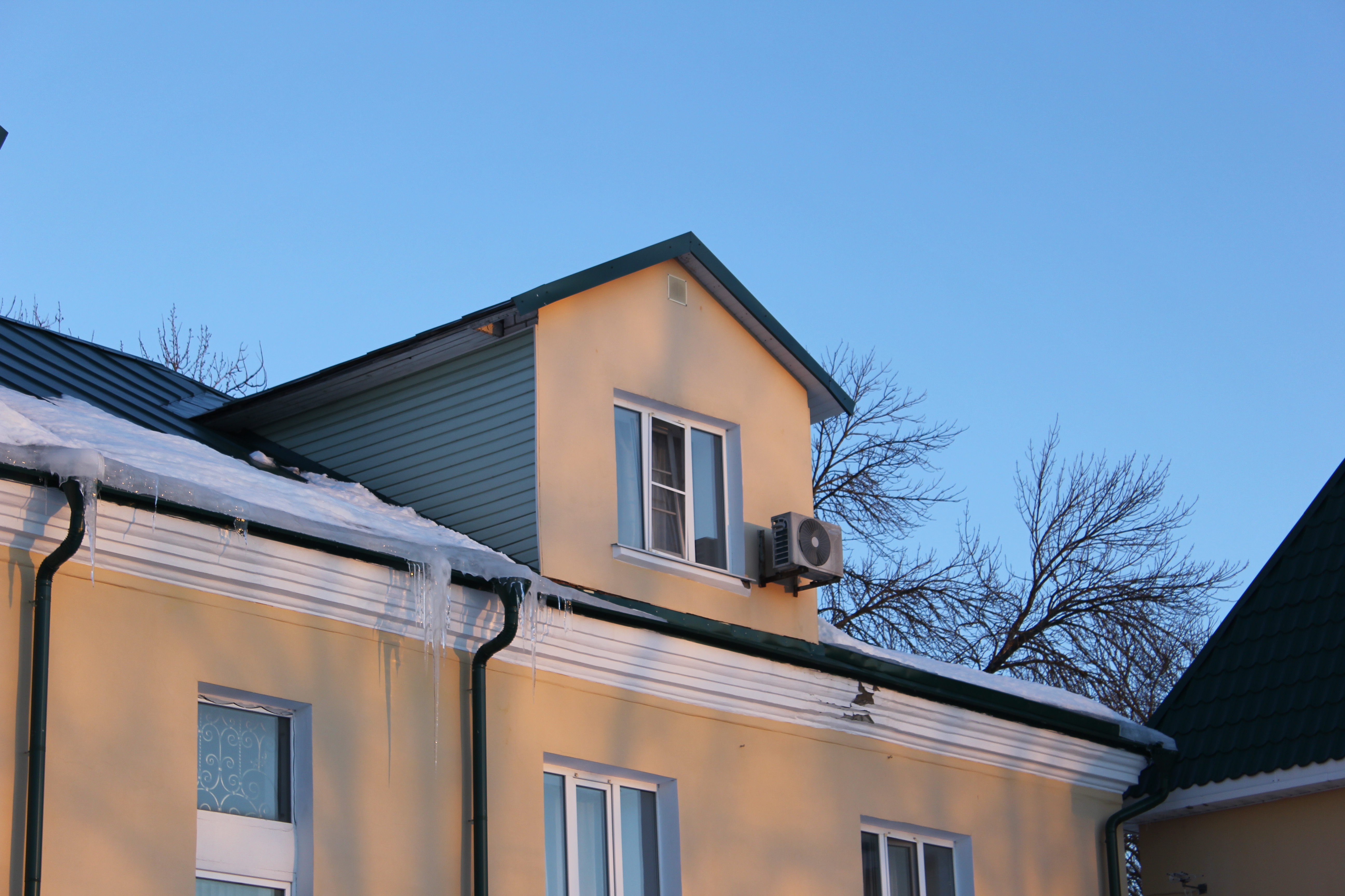 Фото Роза Ветров