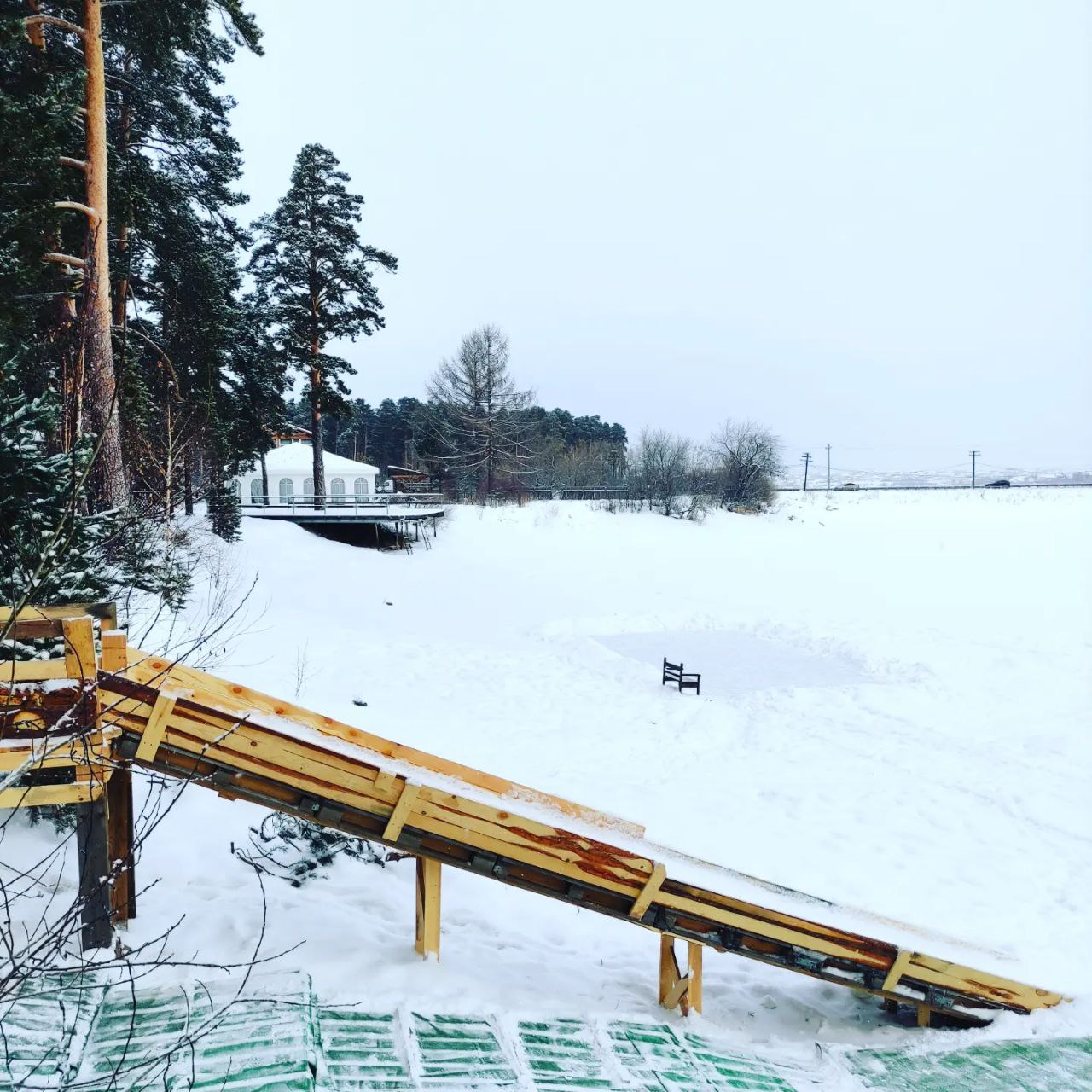 Фото Дача в соснах