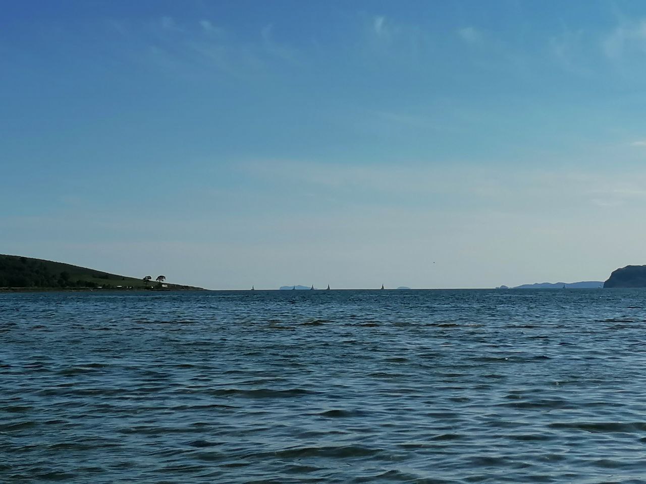 Фото Янтарная