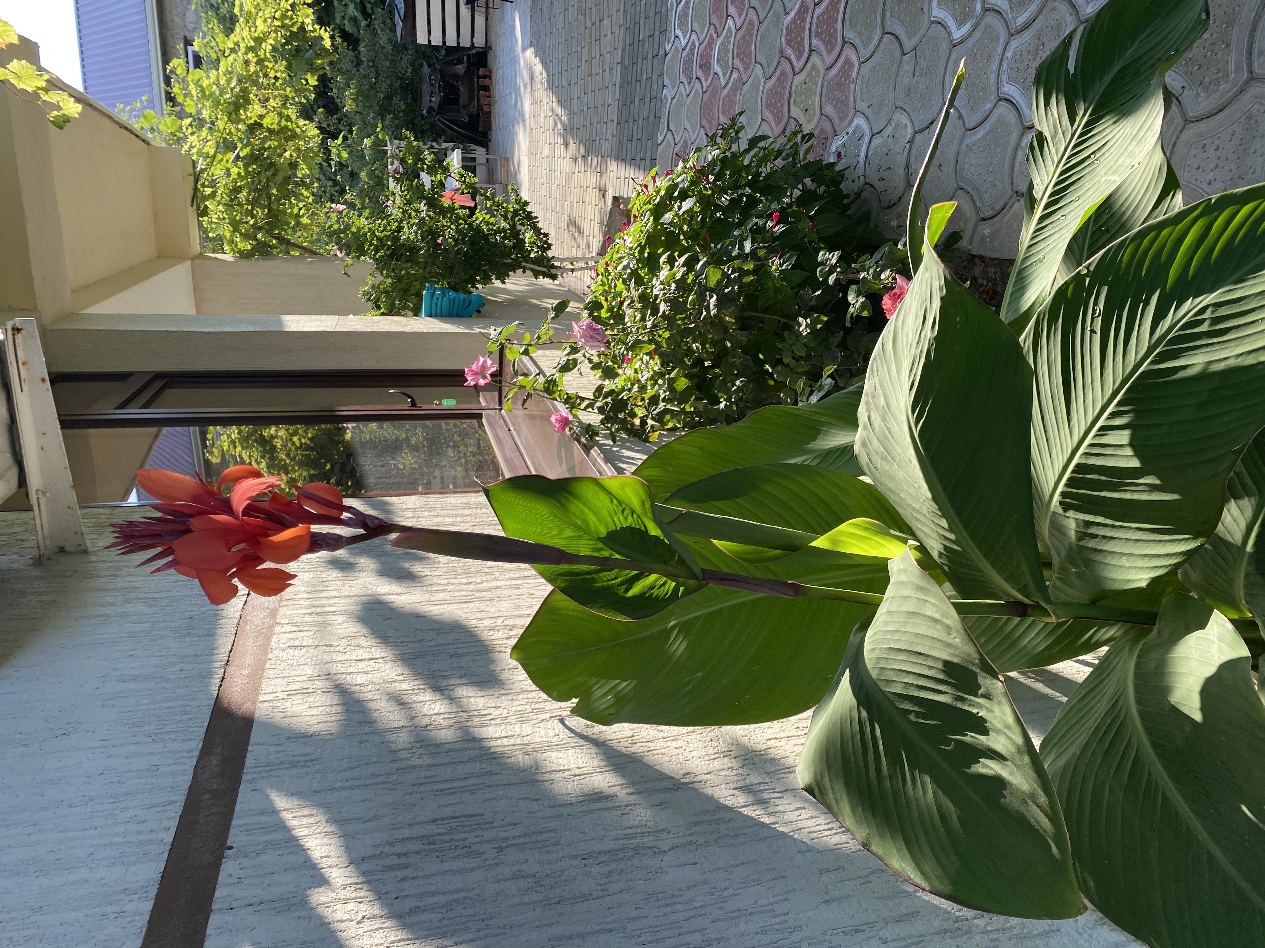 Фото Родничок