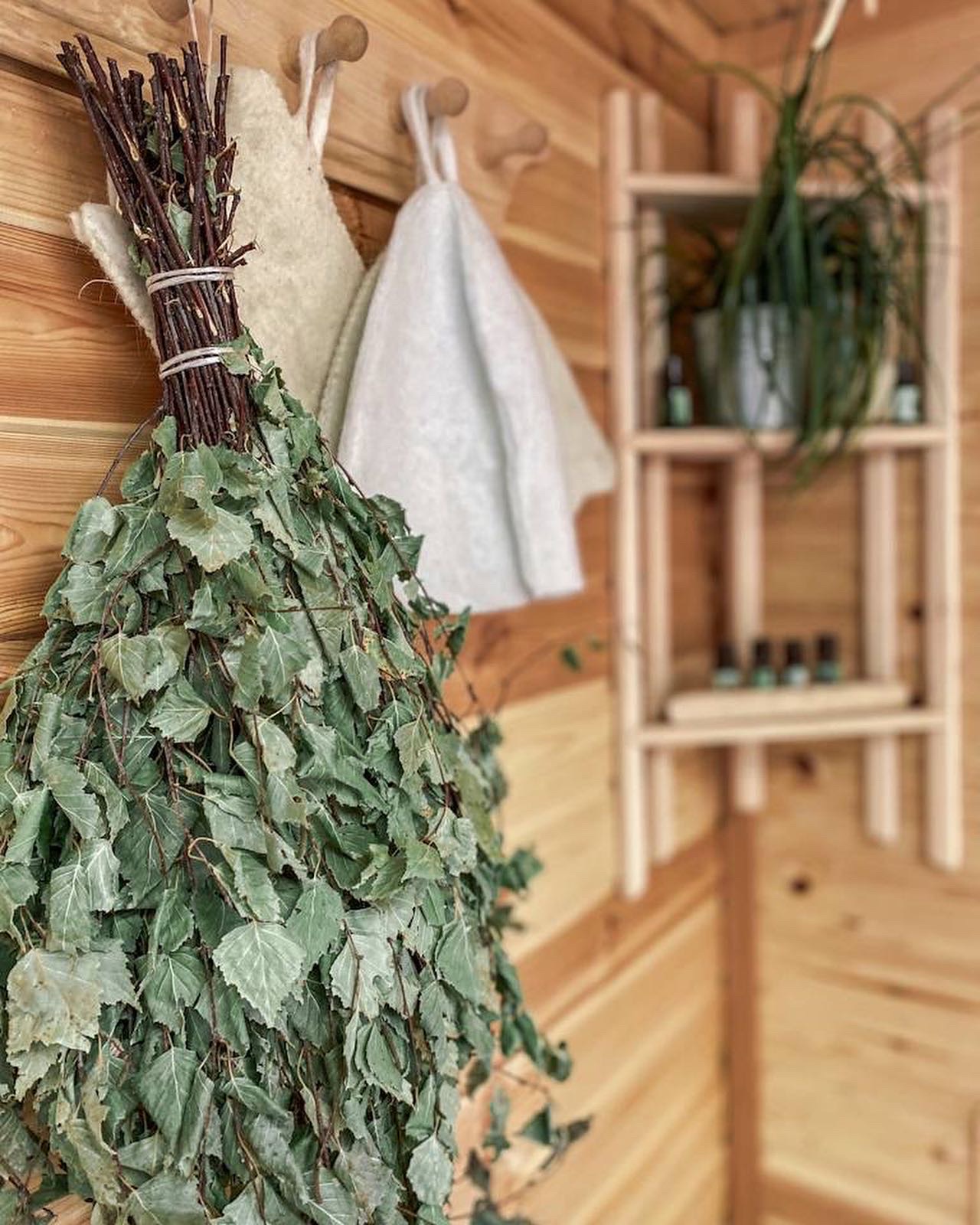 Фото Энергия леса