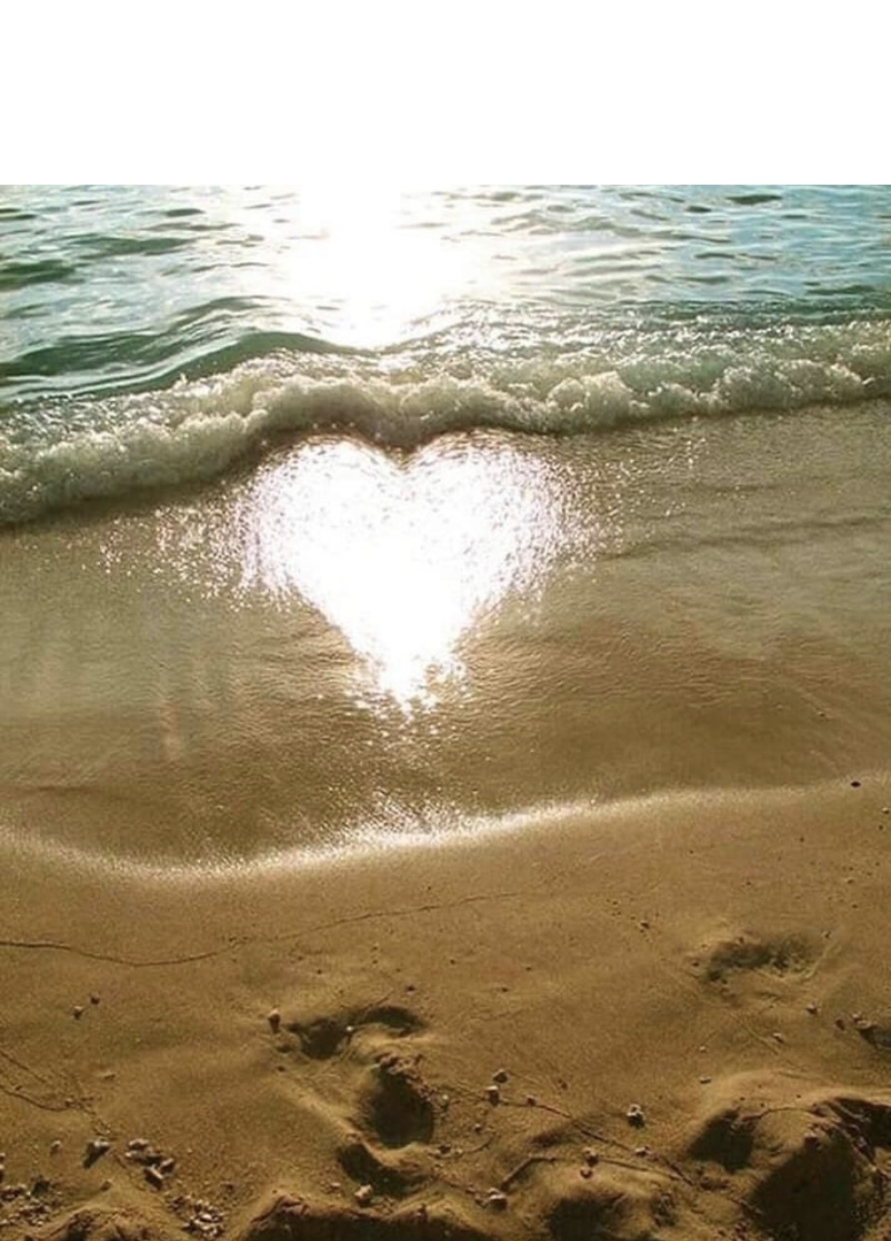 Фото Гостевой дом Тургенева 188