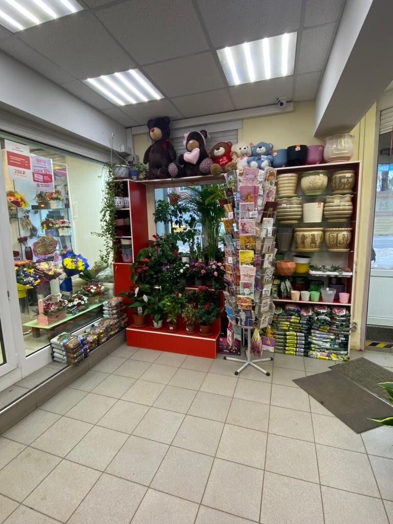 Flower shop Букет Бутик, Balashiha, photo