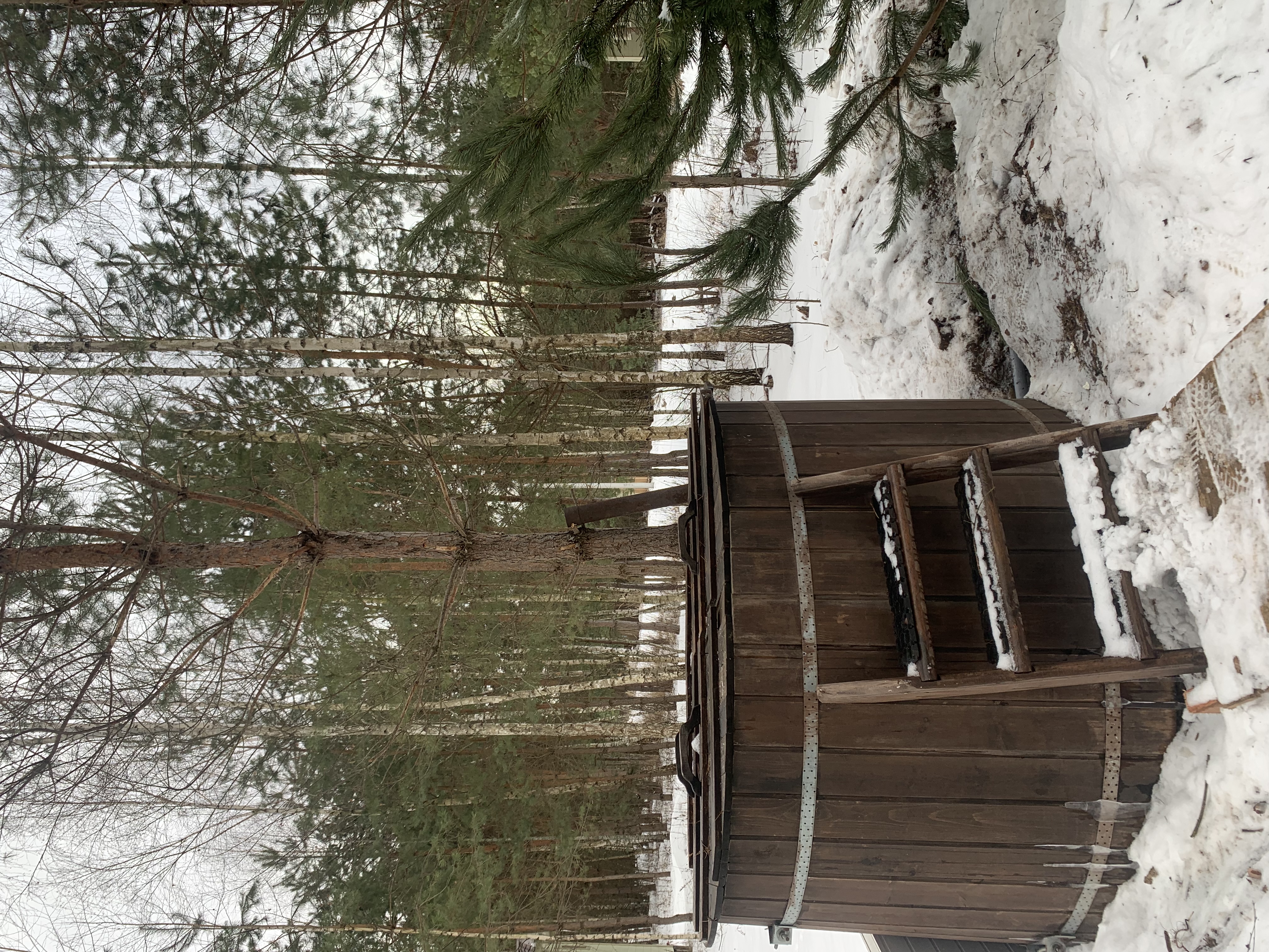 Фото TinyDacha можжевельник