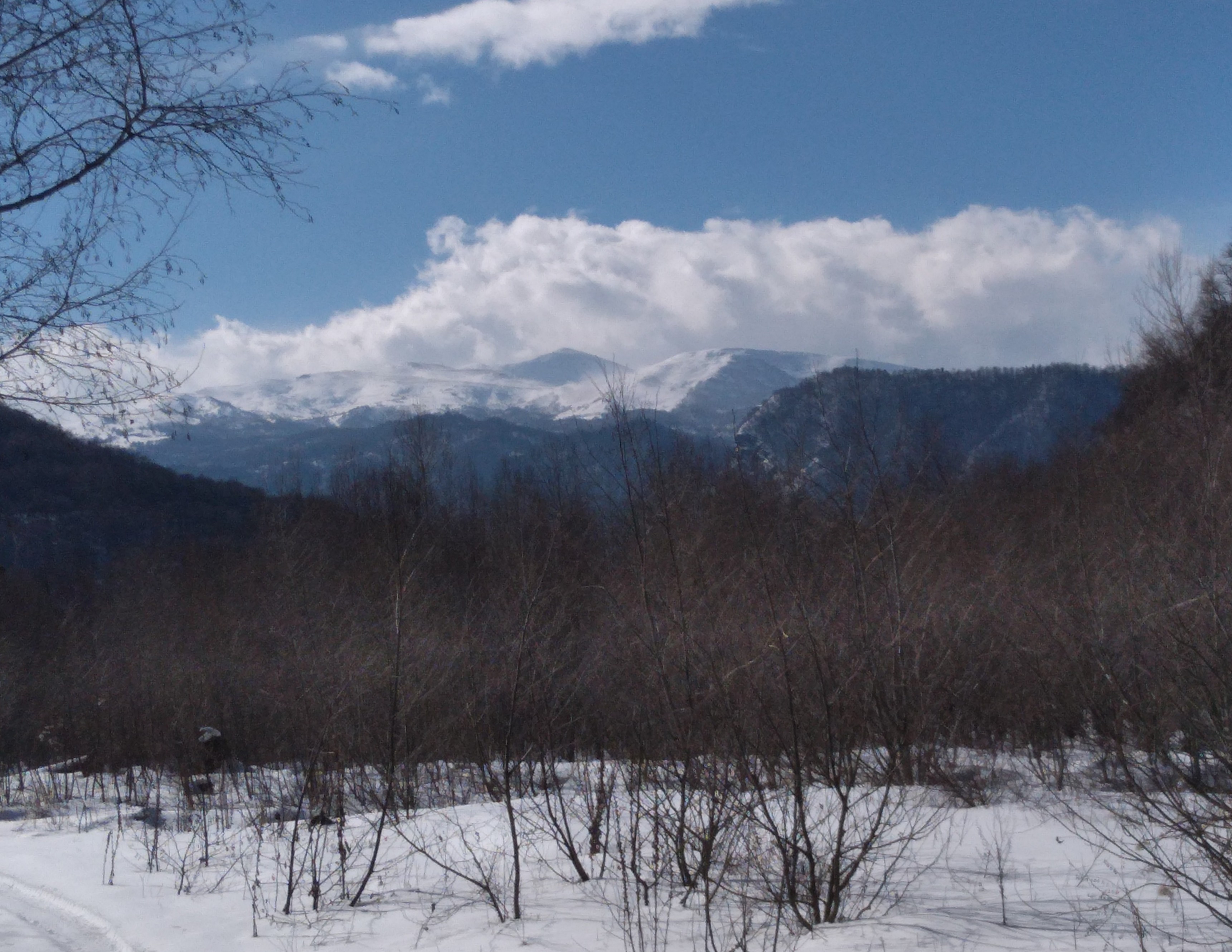 Фото Гостевой Псебай