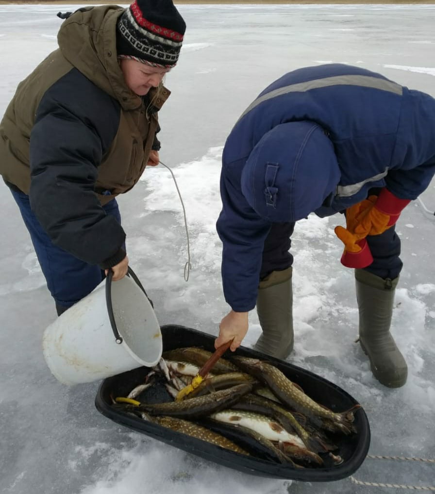 Фото Гостевой двор хутор Надевицы